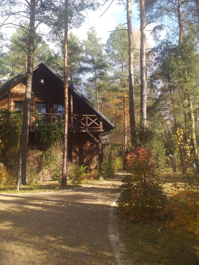 Lesna Ostoja Nad Pilica Villa Lechanice Buitenkant foto
