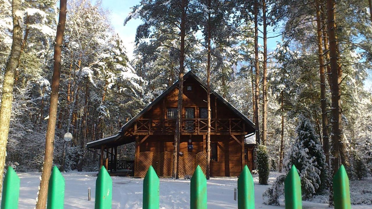 Lesna Ostoja Nad Pilica Villa Lechanice Buitenkant foto