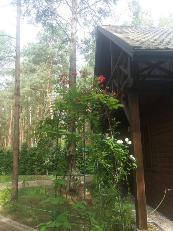 Lesna Ostoja Nad Pilica Villa Lechanice Buitenkant foto