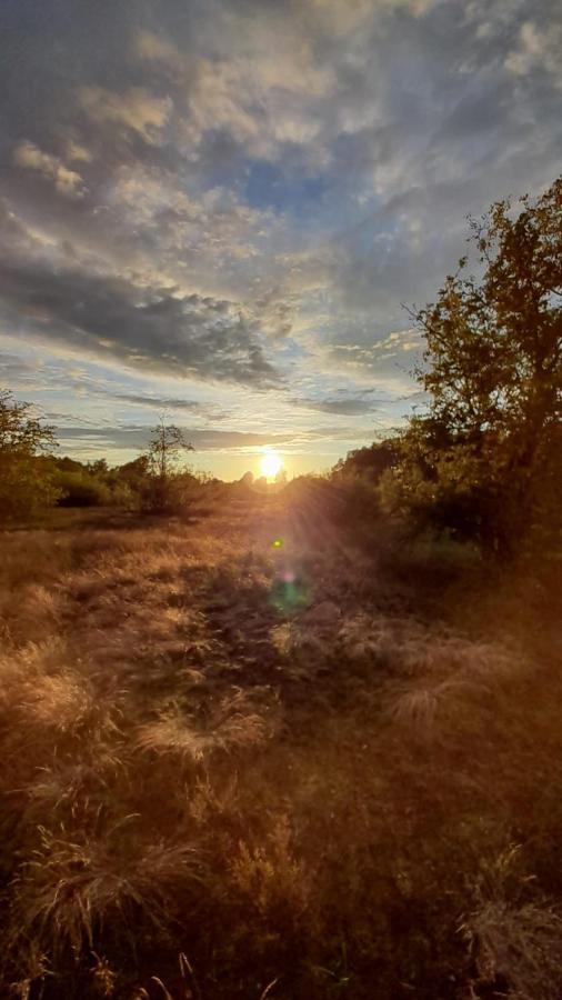 Lesna Ostoja Nad Pilica Villa Lechanice Buitenkant foto