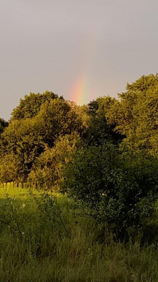 Lesna Ostoja Nad Pilica Villa Lechanice Buitenkant foto