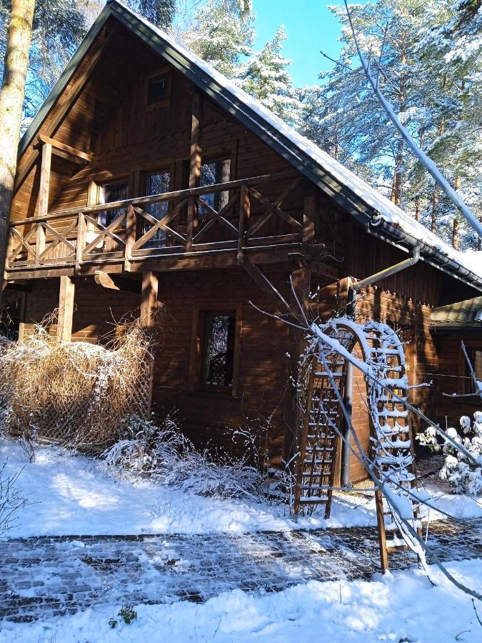 Lesna Ostoja Nad Pilica Villa Lechanice Buitenkant foto