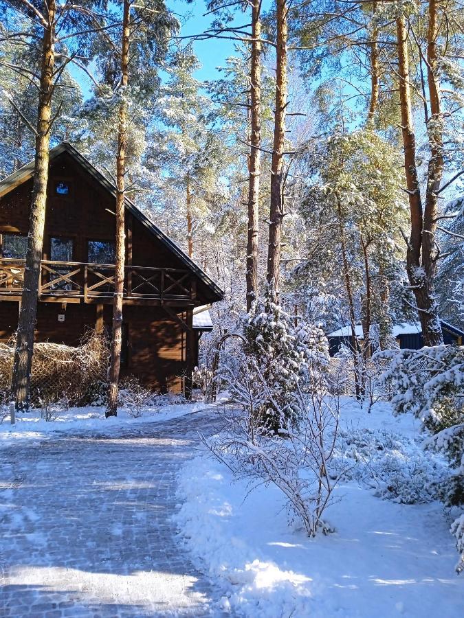 Lesna Ostoja Nad Pilica Villa Lechanice Buitenkant foto