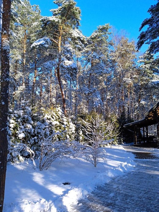 Lesna Ostoja Nad Pilica Villa Lechanice Buitenkant foto