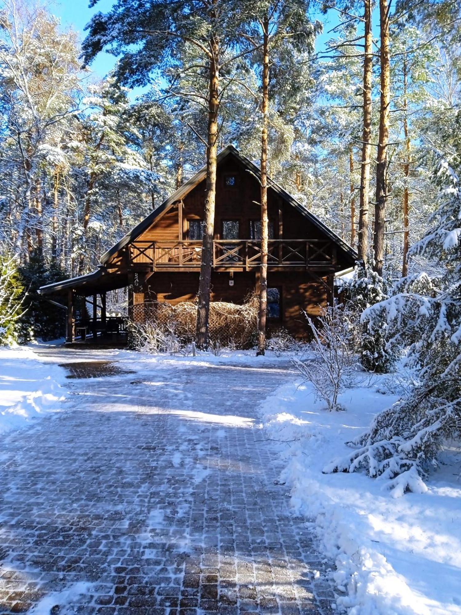 Lesna Ostoja Nad Pilica Villa Lechanice Buitenkant foto